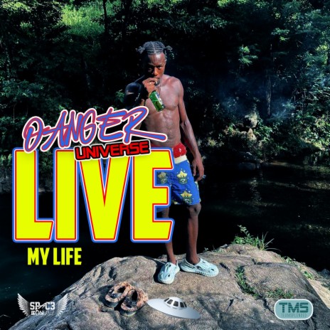 Live my life (Live) ft. Danger Universe cover art