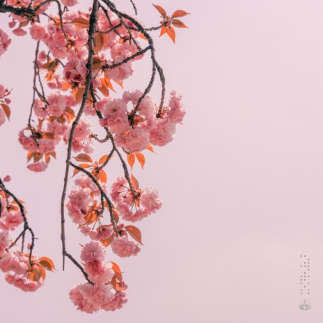 Moral ft. sao kzu cover art