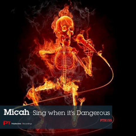 Sing When It's Dangerous (Sean McClellan Remix) ft. Tomomi Ukumori