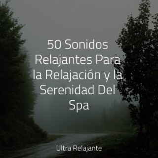 50 Sonidos Relajantes Para la Relajación y la Serenidad Del Spa