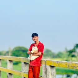 author avatar