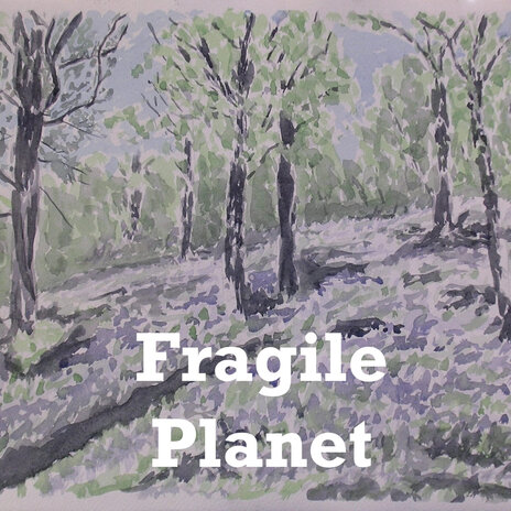 Fragile Planet cover art