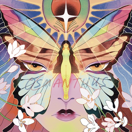 Diamond Tragedy cover art