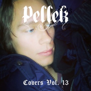 Covers Vol. 13