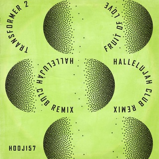 Fruit Of Love (Hallelujah Club Remix -Edit)