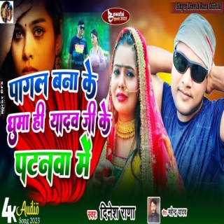 Pagal Banaa Ke Ghumo Hi Yadav Ji Ke Patnaw Mein cover art