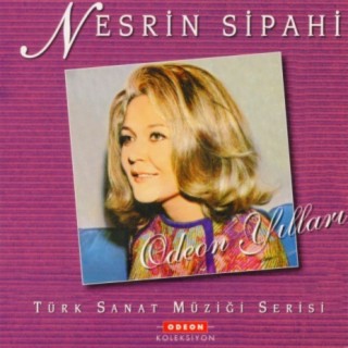 Dertleri Zevk Edindim cover art