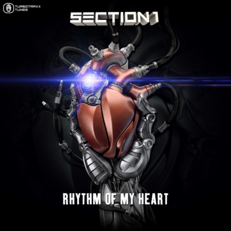 Rhythm Of My Heart (Extended Mix) cover art