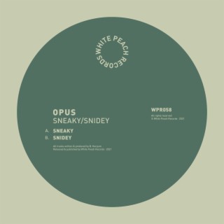 Sneaky cover art
