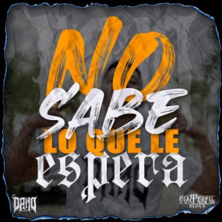 No sabe lo que le espera cover art