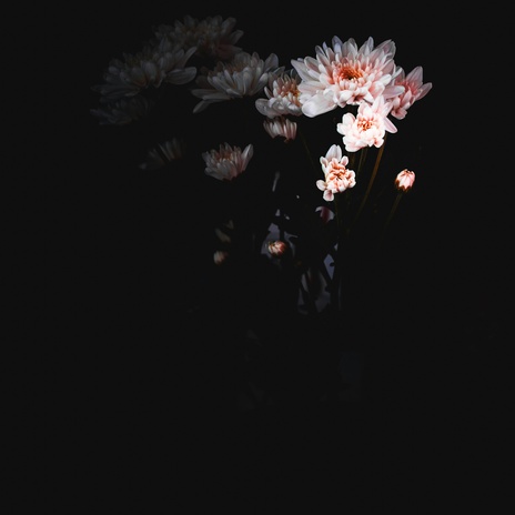 爱 是 一 片 沼 泽 cover art