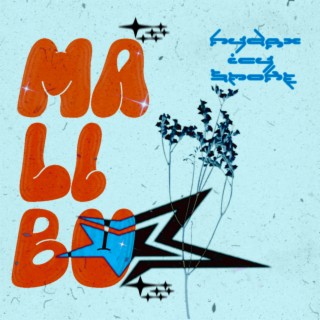 Malibu cover art