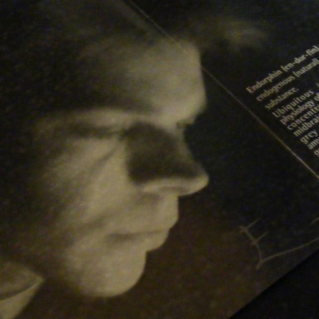 Into the Blue cover art