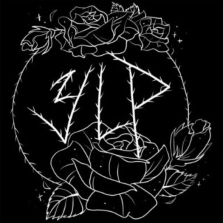 YLP
