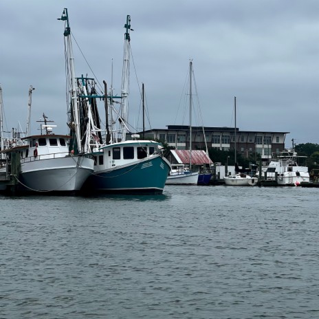 Lowcountry cover art