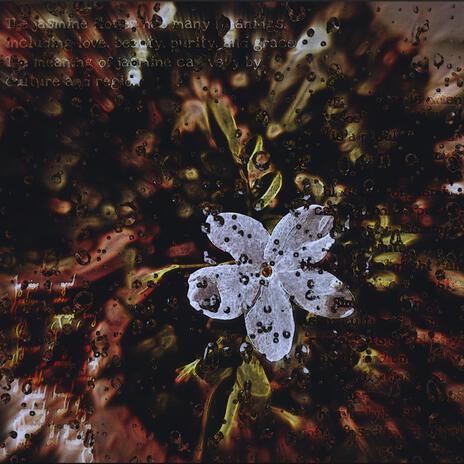 Jasmine cover art