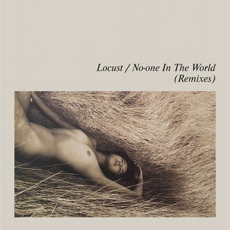No-One In The World (Armand Van Helden Mongoloidian Killer Bees Mix Version) cover art
