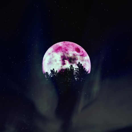 The moon embracing the nights sky cover art