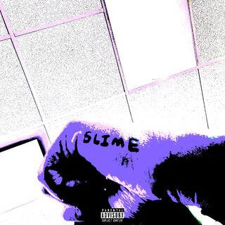 S.L.I.M.E.