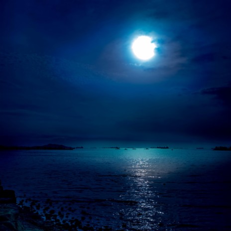 night by the sea cover art