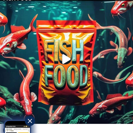 FISH FOOD cover art