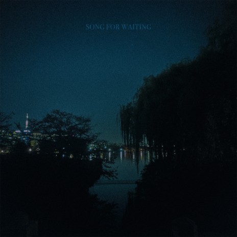 Song For Swamp In The Lake cover art