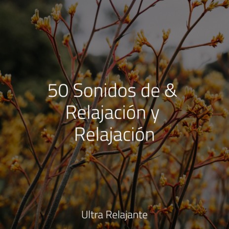 Canción De Cuna Para Dormir Bien