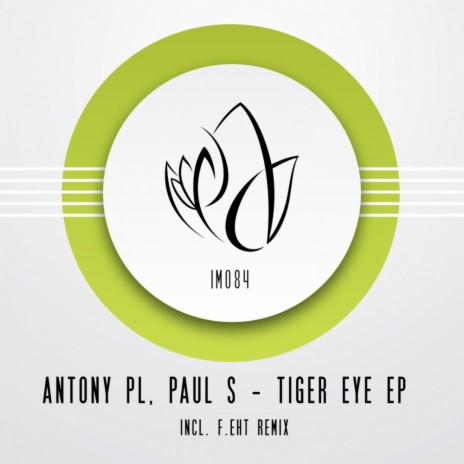 Tiger Eye (Original Mix) ft. Paul S cover art