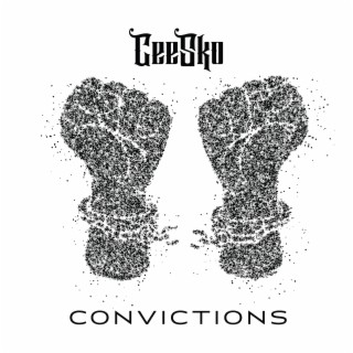 Convictions