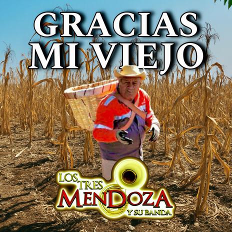 Gracias Mi Viejo