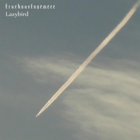 Lazybird cover art