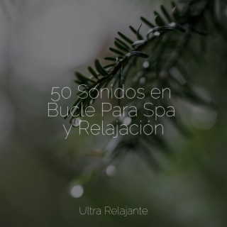 50 Sonidos en Bucle Para Spa y Relajación