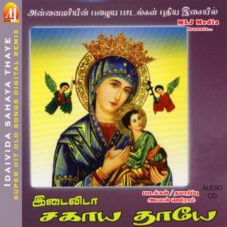 Karunayin (Remix) cover art