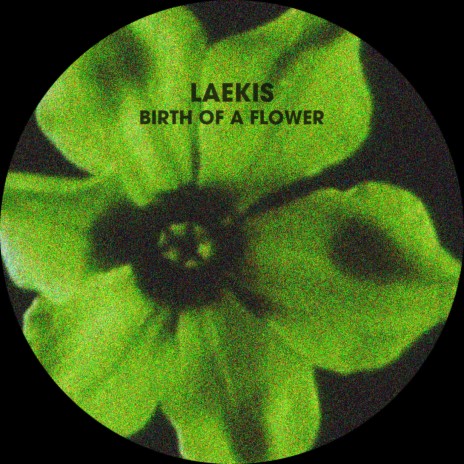 Birth Of A Flower cover art