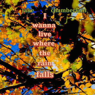I wanna live where the rain falls cover art