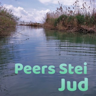 Peers Stein