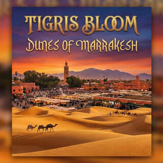 Dunes of Marrakesh cover art