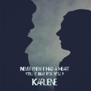 Never Knew I Had a Heart (Till It Beat for You) cover art