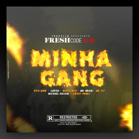 Minha Gang ft. Rich Mind, Denys Wisi, Mr. Fly, Mr. Brain & Lavish cover art