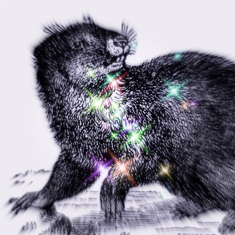 \fleshwallet/ cover art