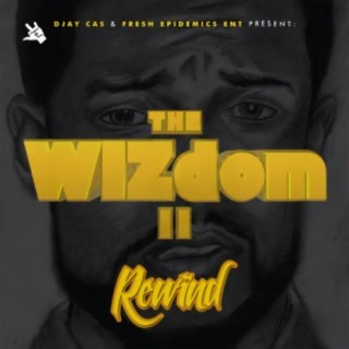 The Wizdom II