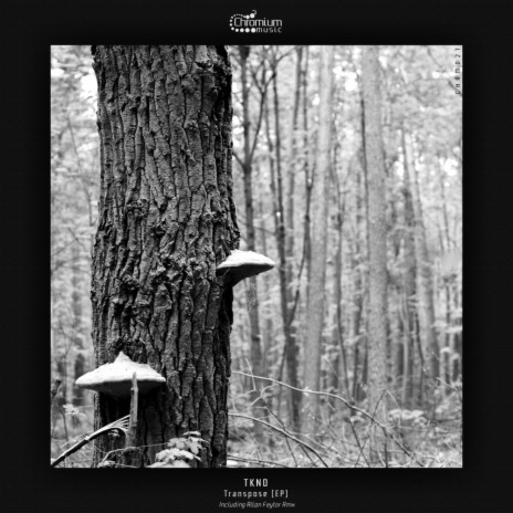 Transpose (Original Mix) cover art