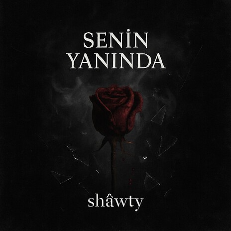 Senin Yanında cover art