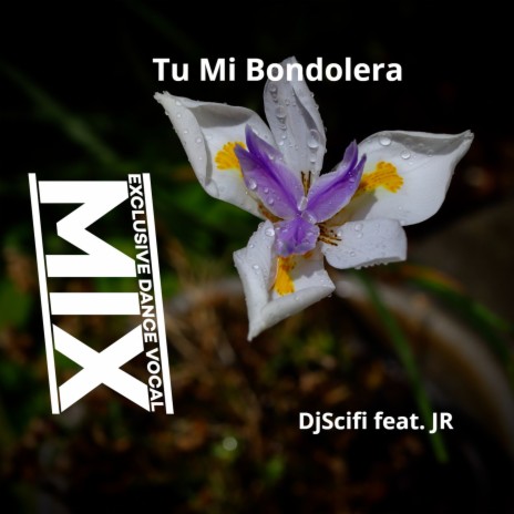 Tu Mi Bondolera (Exclusive Dance Vocal Mix) ft. Jr cover art