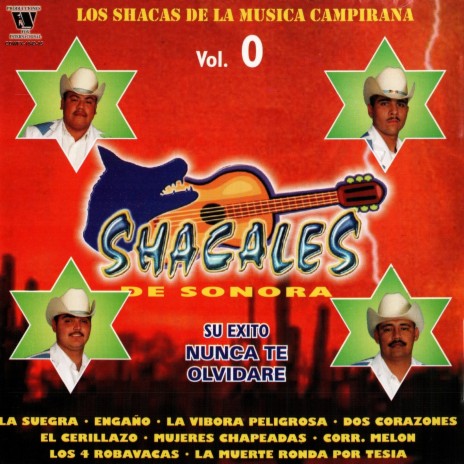 La Suegra cover art