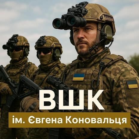 Це ВШК cover art