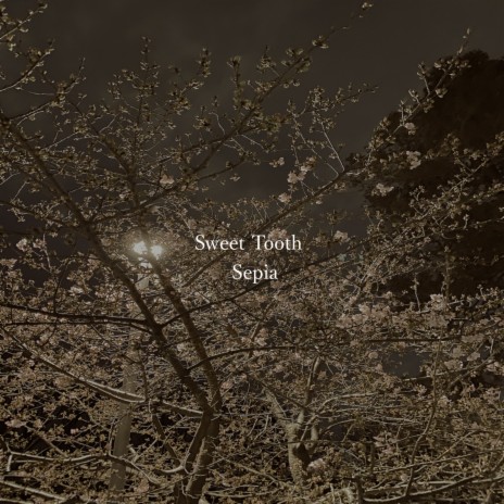 Shy Girl cover art