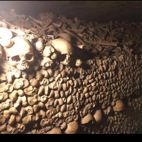 BONES cover art