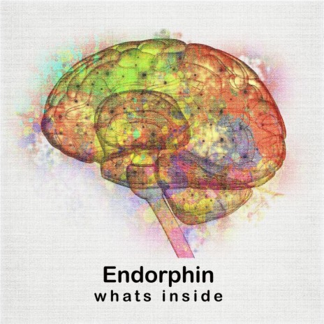 What's Inside cover art