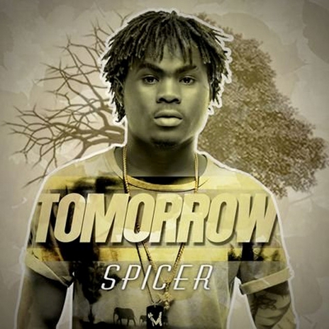 Pon Di Ting cover art